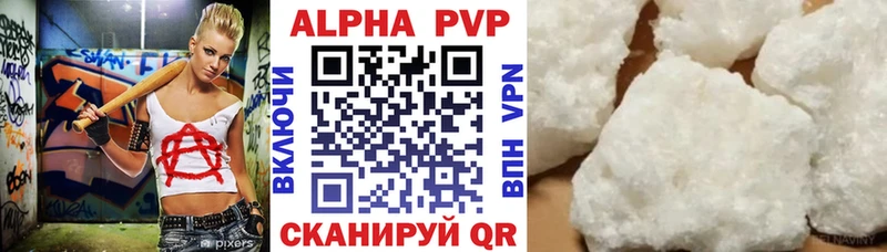 блэк спрут как войти  закладки  Жуков  Alfa_PVP СК 