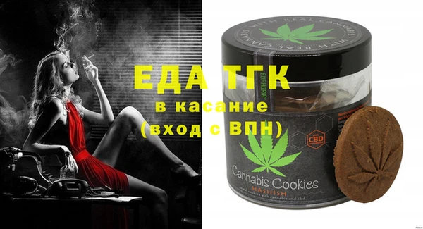 дживик Инта