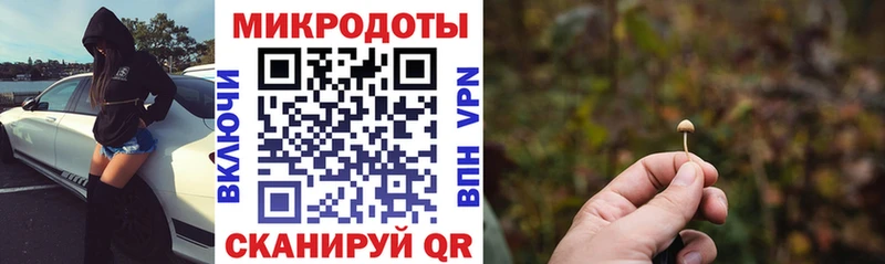 Галлюциногенные грибы прущие грибы  купить   Жуков 