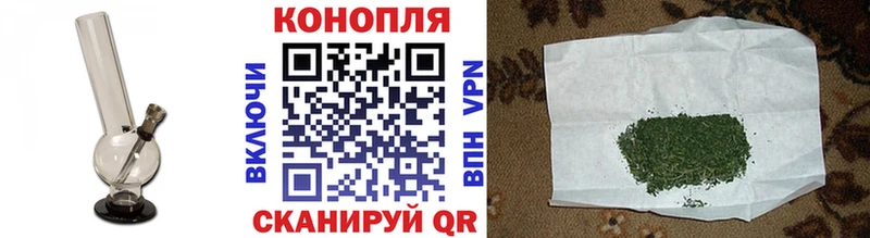 Марихуана гибрид  Жуков 